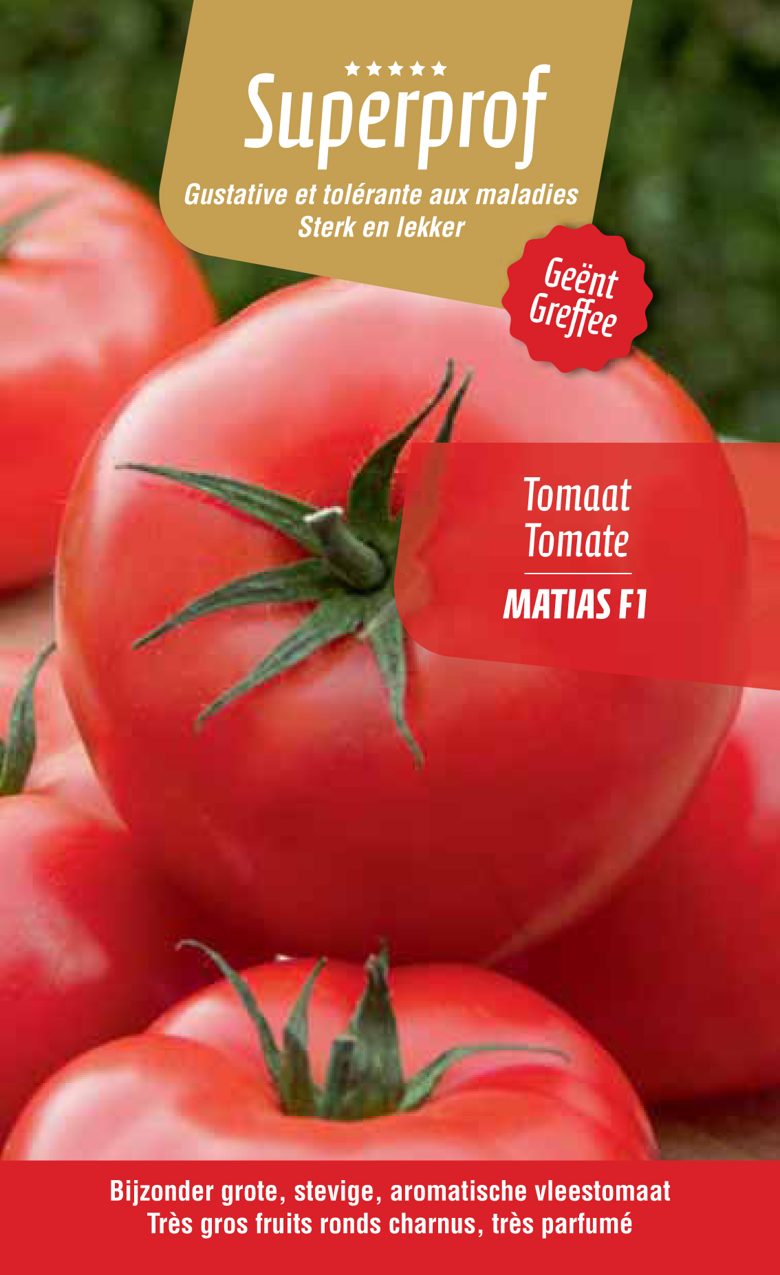 tomate greffée Matias F1  (tray 8 pot)